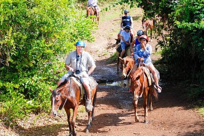 Full Day Eco Safari Adventure and Cultural Tour - Memorable Experiences