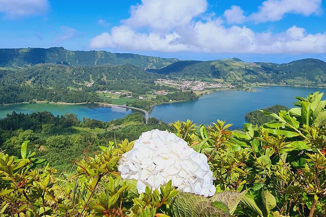 Full Day Private Tour of West and East in São Miguel Island - Tour Ratings and Reviews