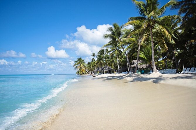 Full-Day Tour to Saona Island Sailing With Lunch and Free Beverages! - Island Experience