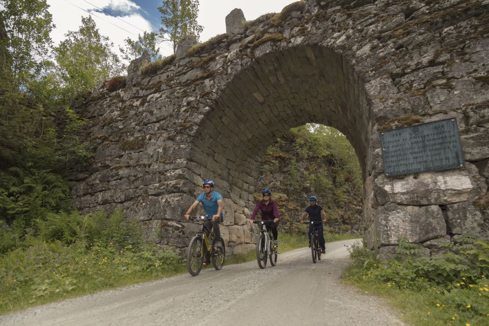 Geiranger Fjord: Downhill Self-Guided Bike Tour - Frequently Asked Questions