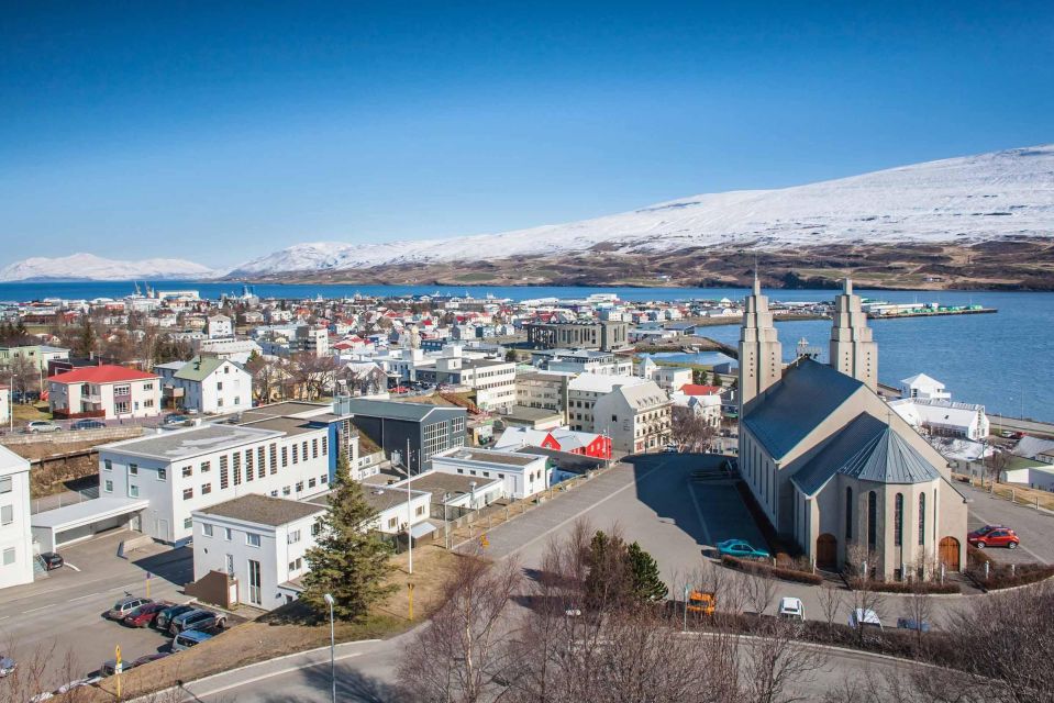 Goðafoss Waterfall & Forest Lagoon From Akureyri Port - Ending Location