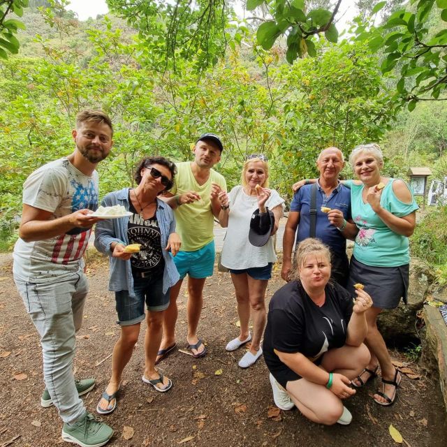 Gran Canaria: Highlights Tour, Hike in the Lauer Forest - Customer Experiences