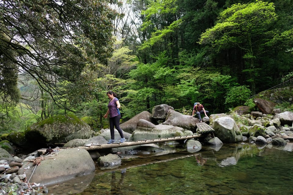 Hakone: Forest Bathing Hike Review - Historical Significance of Hakone