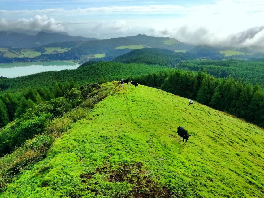 Half-Day 4X4 Tour Sete Cidades. off the Beaten Track. - Customer Reviews