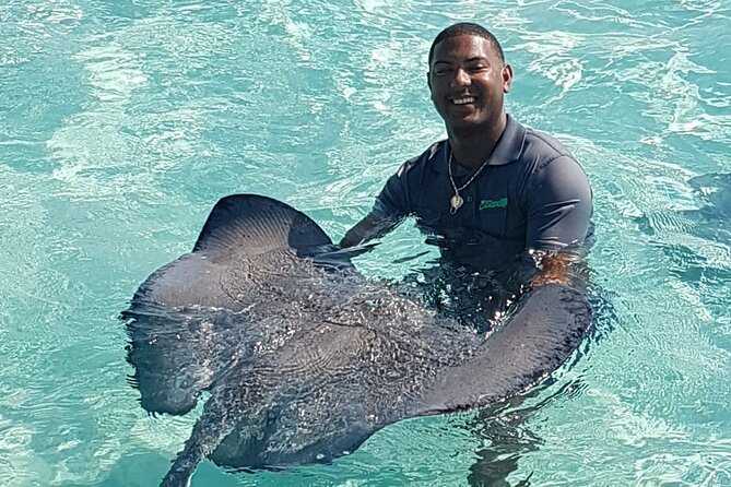 Half-Day Private Stingray City Charter in Cayman Islands - Highlights of the Experience