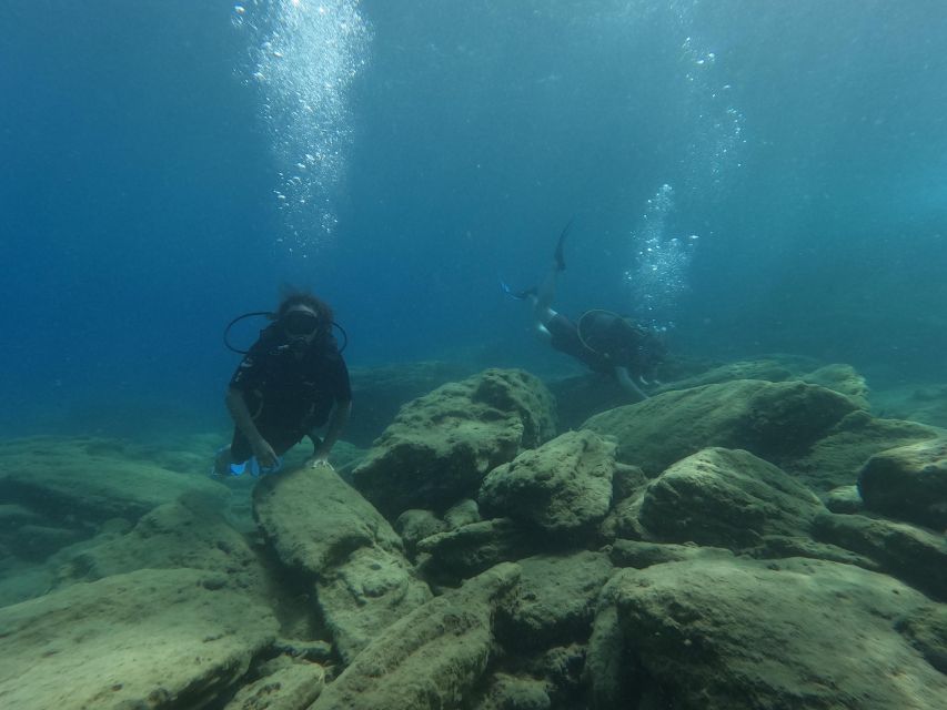 Heraklion: Afternoon Private Scuba Dive (Beginners) - Pickup and Timing