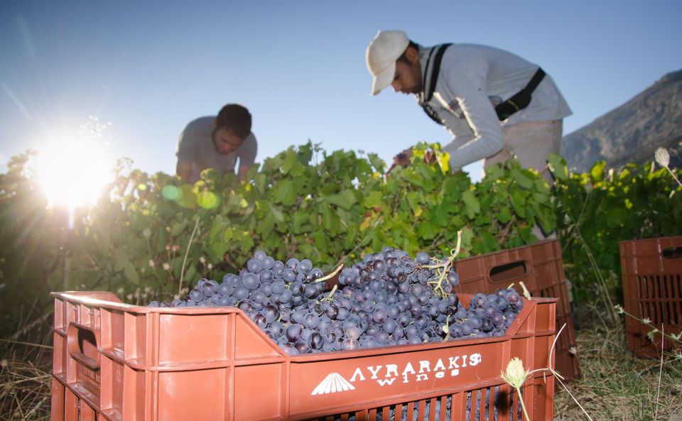 Heraklion: Private Wine Tasting & Lunch at Lyrarakis Winery - Cretes Wine History