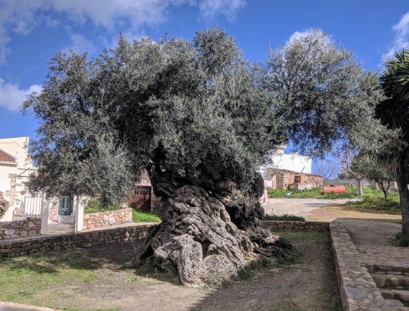 Heraklion: True Crete Melidoni Cave, Secrets of Honey, Olive - Melidoni Cave Exploration