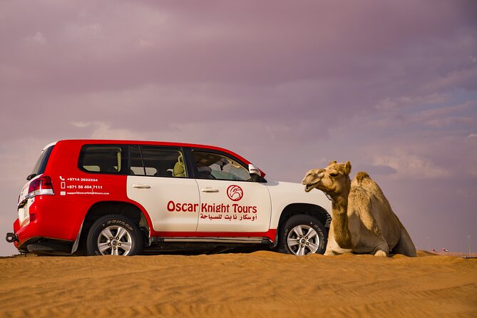 High Red Dunes With Camel Ride, Sandboarding, Falcon Show and VIP BBQ Dinner - Cultural Entertainment and Performances