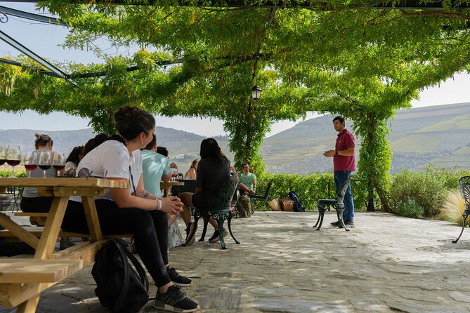 HIKE at DOURO VALLEY W/ Winery Visit and Tasting - Additional Details