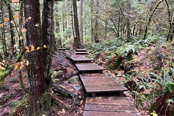 Hike Lynn Canyon and Bike Seymour Demonstration Forest - Restrictions and Requirements