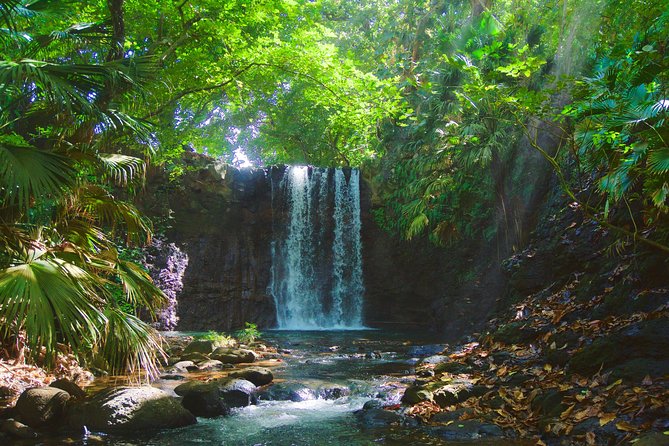 Hiking - The Wild South - Exploring the Waterfalls