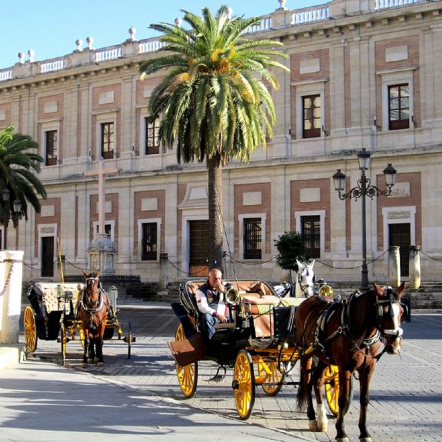 Horse-Drawn Carriage Ride Through Seville - Important Tips