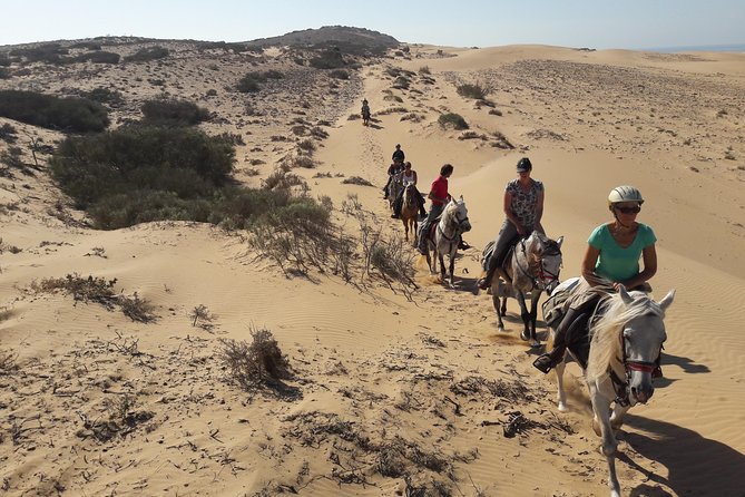 Horse Ride on the Beach in Essaouira - Group Size and Guide