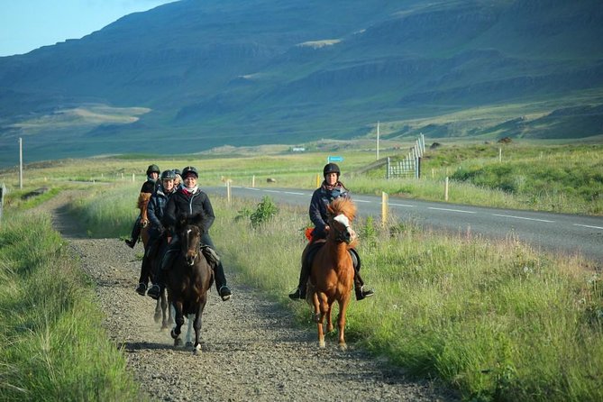 Horse Riding Tour to the Glacier River Delta With Waterfall - Meeting Point and Directions