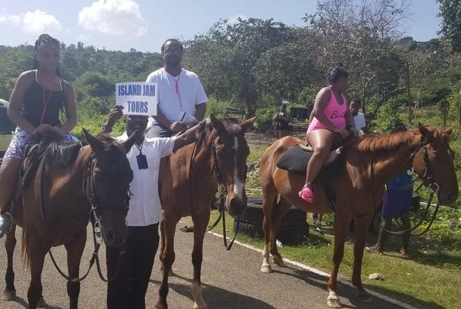 Horseback Riding, ATV & Blue Hole (Land & Sea) From Falmouth - Tour Operator