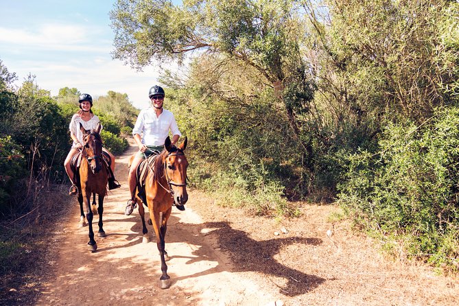 Horseback Riding in Bodrum - Key Tour Information