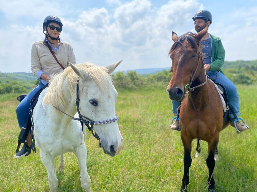 Horseback Riding Tour Near Prague - Customer Feedback