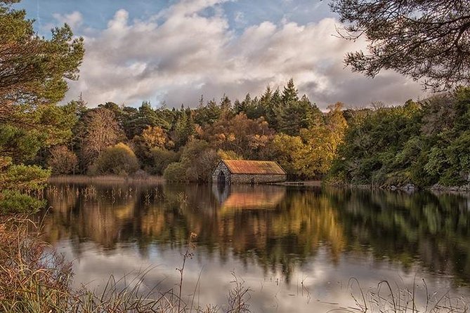 Innisfallen Island - Enjoy the Scenery & History of the Lakes of Killarney. - Appreciating the Natural Scenery