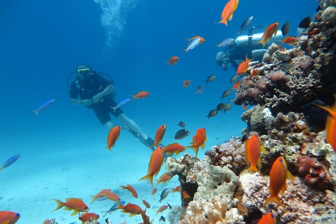 Intro Scuba Diving - Scenic Underwater Exploration