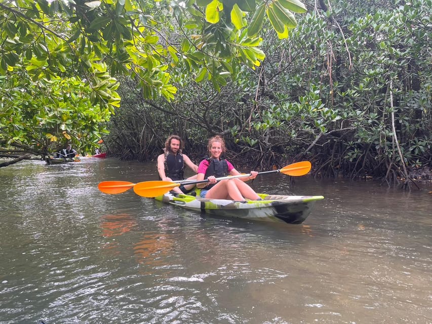 Iriomote Island: Mangrove River Canoe Cruising Tour - Meeting Point and Directions