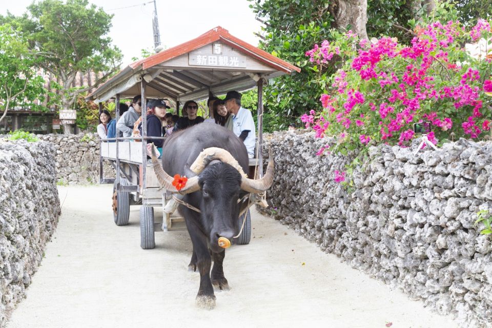 Ishigaki: Phantom Island Snorkeling and Taketomi Sightseeing - Important Information