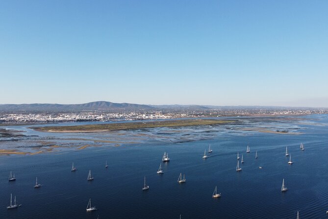 Islands Tour: Half Day Cruise in Ria Formosa National Park - Pickup and Meeting Point