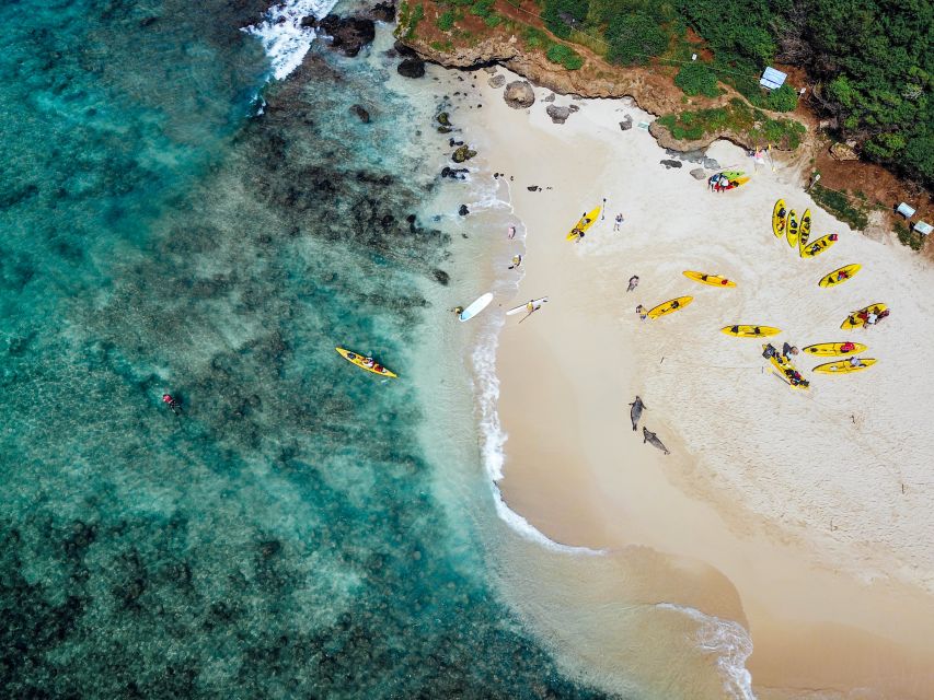 Kailua: Guided Kayaking Tour With Lunch, Snacks, and Drinks - Frequently Asked Questions