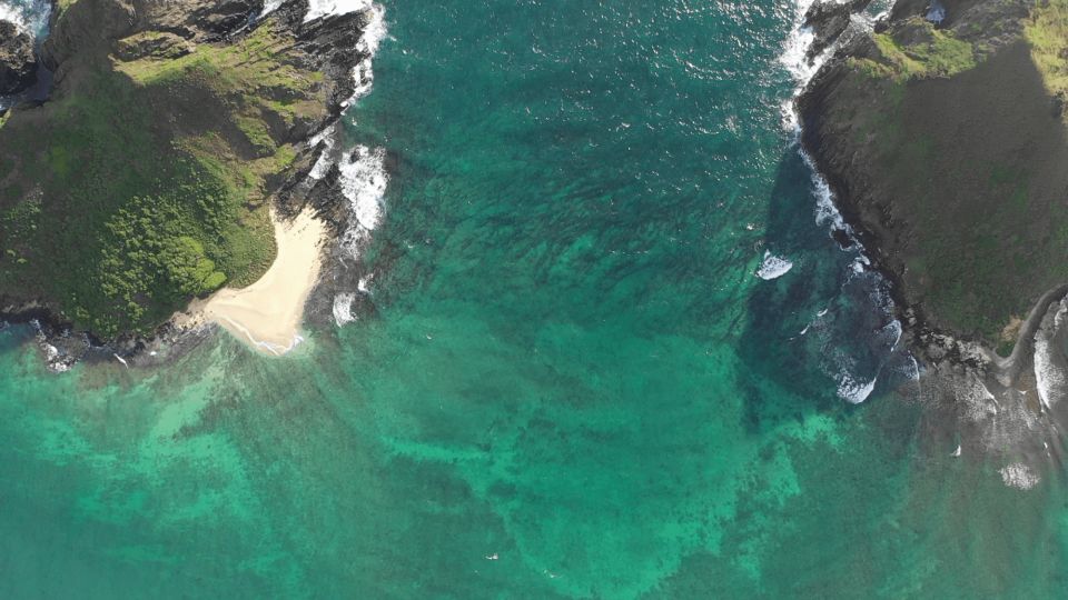 Kailua: Mokulua Islands Kayak Tour With Lunch - Wildlife Observation