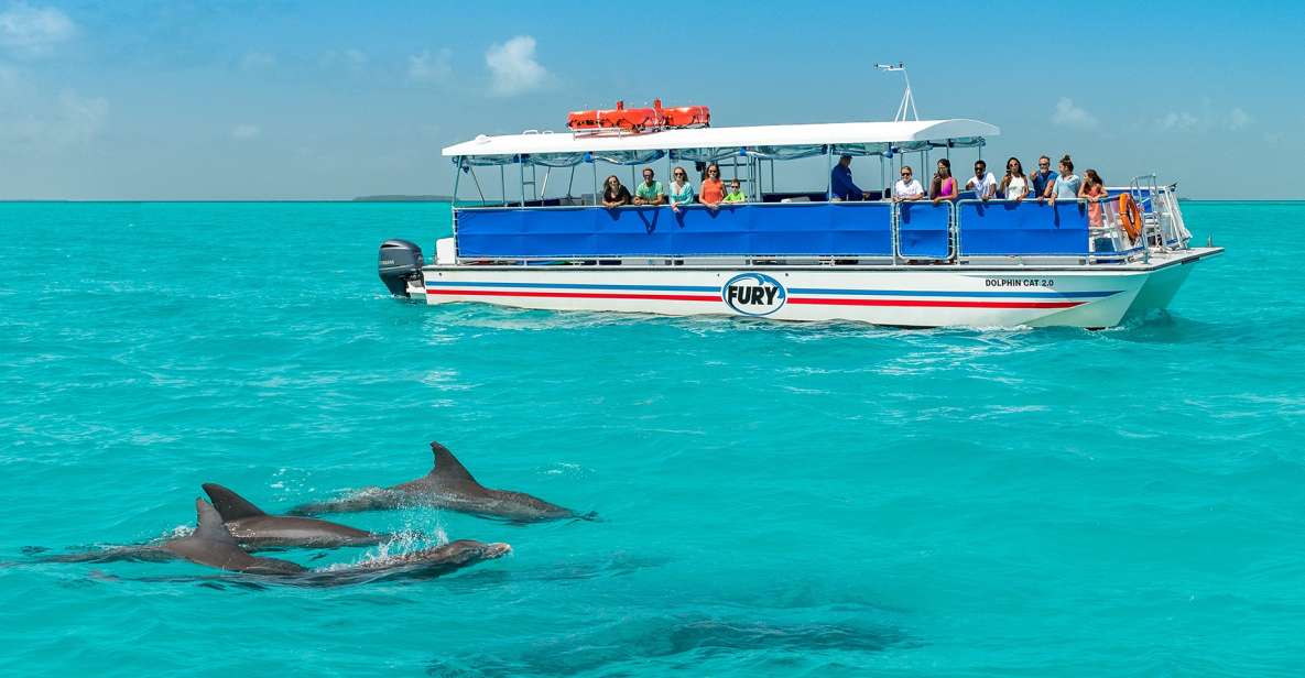 Key West: Dolphin Watching and Snorkeling Eco Cruise Tour - What to Bring and Not Allowed