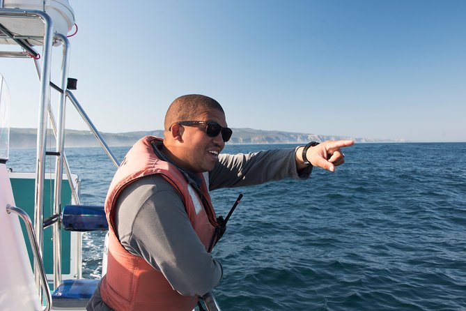 Knysna Marine Life & Garden Route Coastline Experience - Wildlife Sightings Guarantee