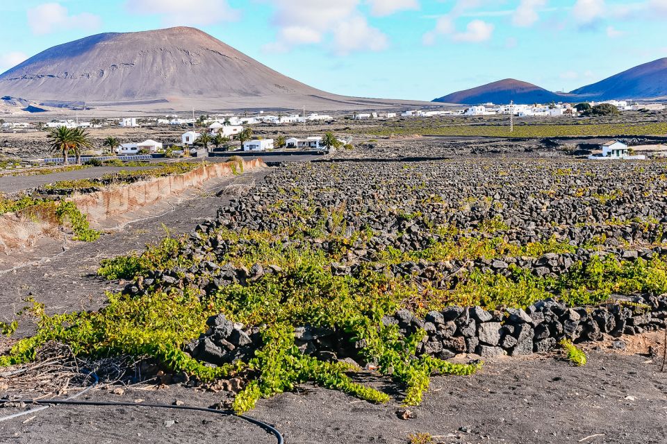 Lanzarote: Volcanos of Timanfaya and Caves Tour With Lunch - Customer Reviews