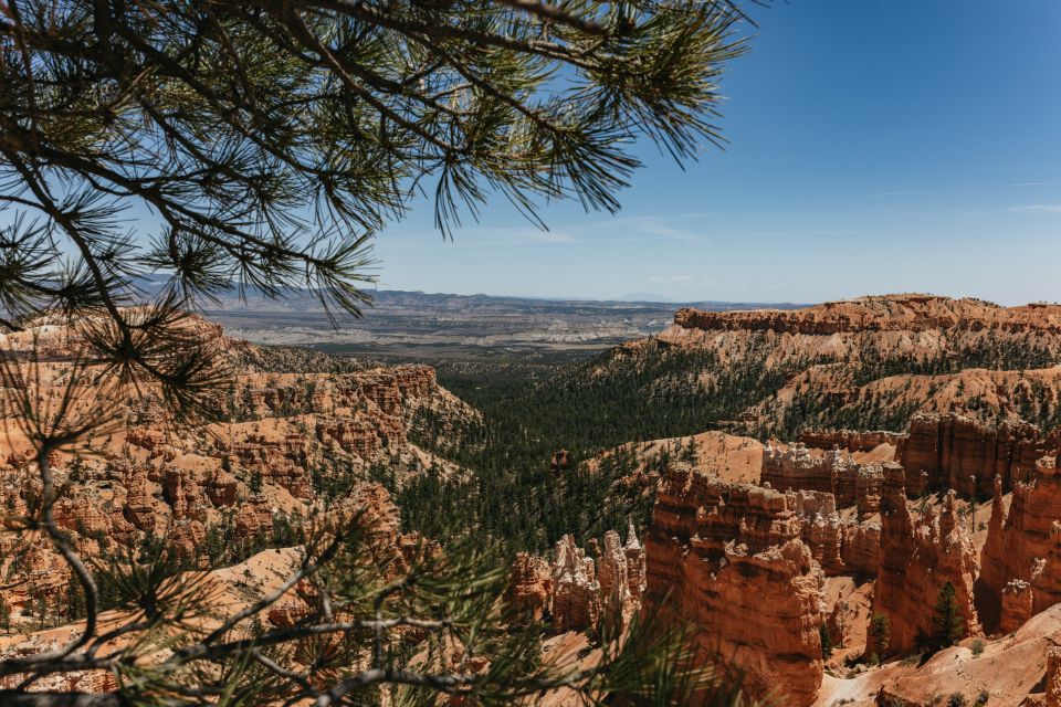 Las Vegas: Bryce and Zion National Parks, Lunch & Free WiFi - Important Information