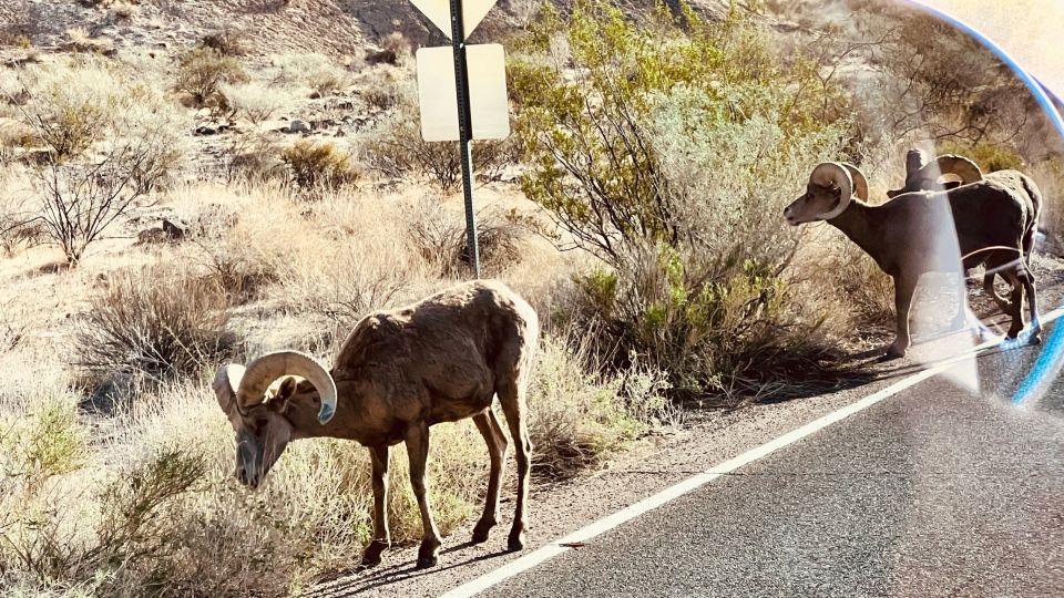 Las Vegas: Valley of Fire Scenic Tour - Transportation and Pickup Details