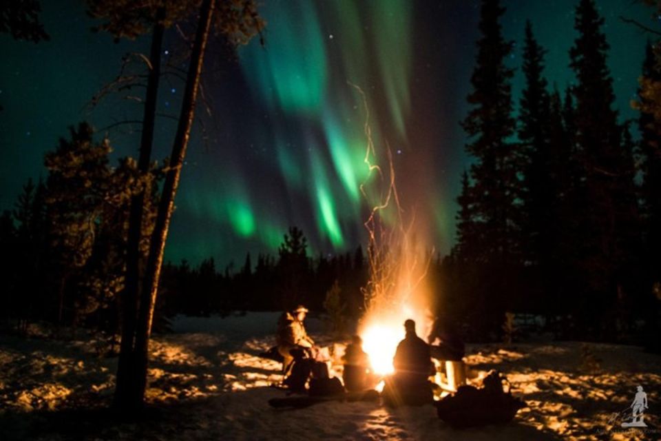 Levi: Northern Lights Hunt Including Campfire Snacks - Group Size and Accessibility