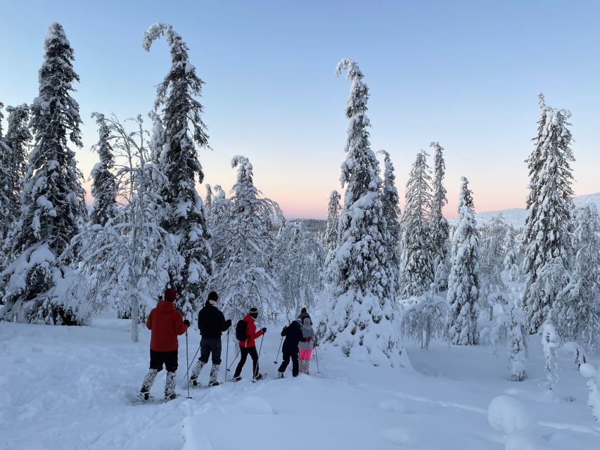 Levi: Pallas-Yllästunturi National Park Snowshoeing Tour - Frequently Asked Questions