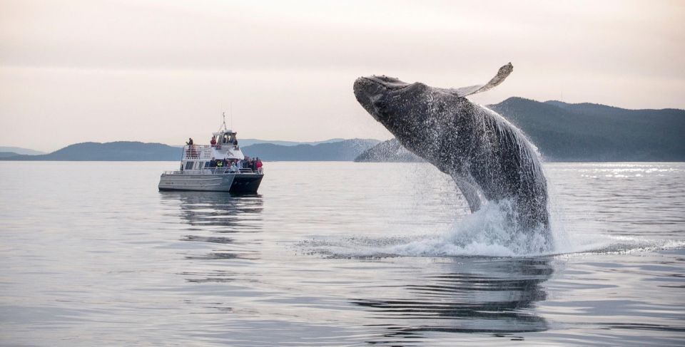 Lopez Island: Whale & Orca Boat Tour - Departure Location