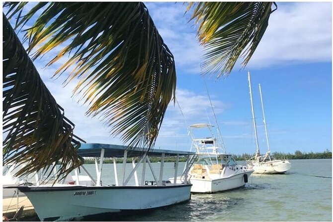 Luminous Lagoon Dark Night Tour From Ocho Rios and Runaway Bay Hotels - Important Tips for Visitors