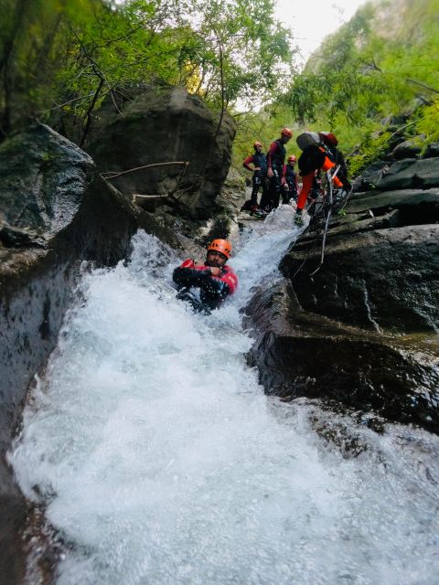 Madeira: Beginner (Level 1) Canyoning Experience - Customer Feedback