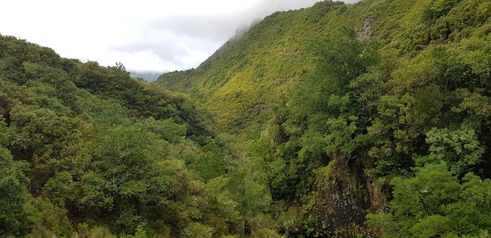 Madeira: Mountain Walk With Lagoon and Waterfalls - Scenic Mountain Hike