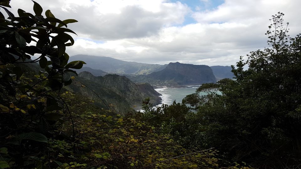 Madeira: Private Vereda Do Larano Hike - Guided Tour in English and Portuguese