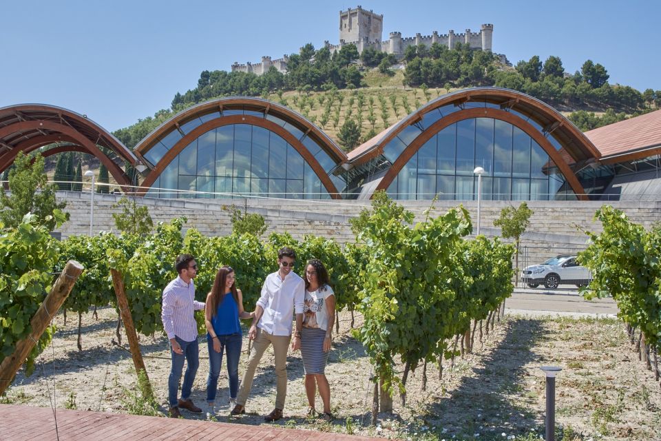 Madrid: Ribera Del Duero & Rueda Red and White Wine Tour - Participant Information