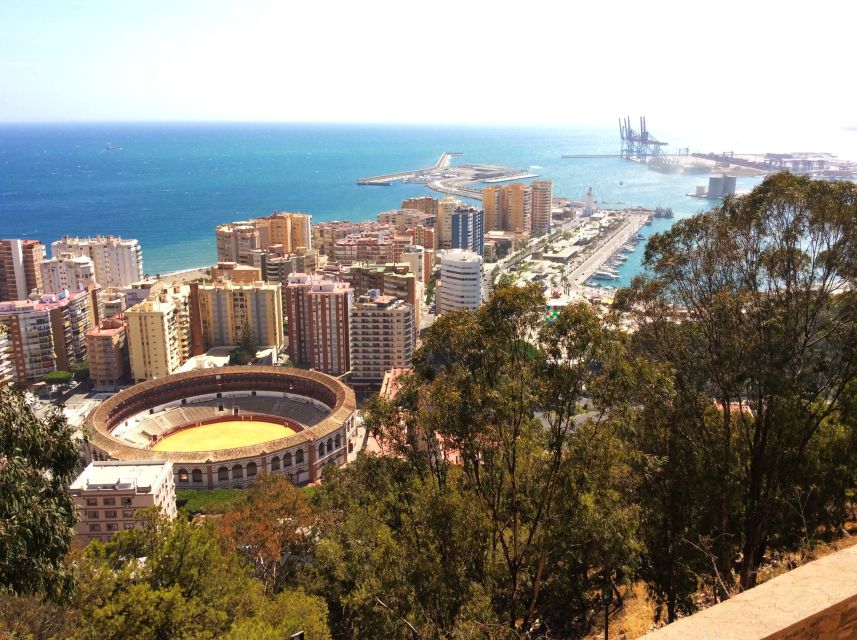 Malaga: Private Walking Tour - Accessibility and Accommodations