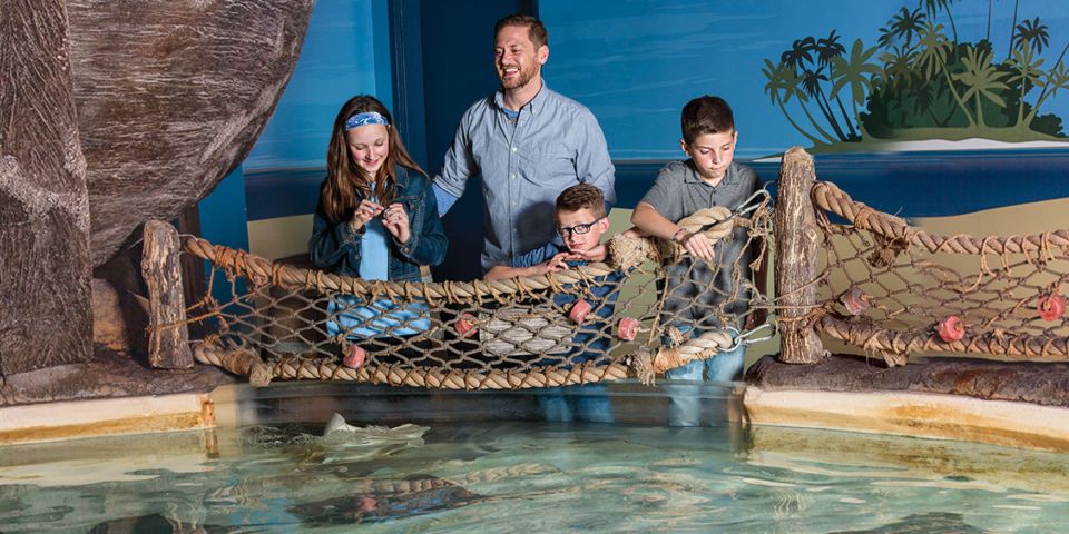 Mall of America: Sea Life Minnesota Aquarium Entry Ticket - Customer Reviews and Ratings