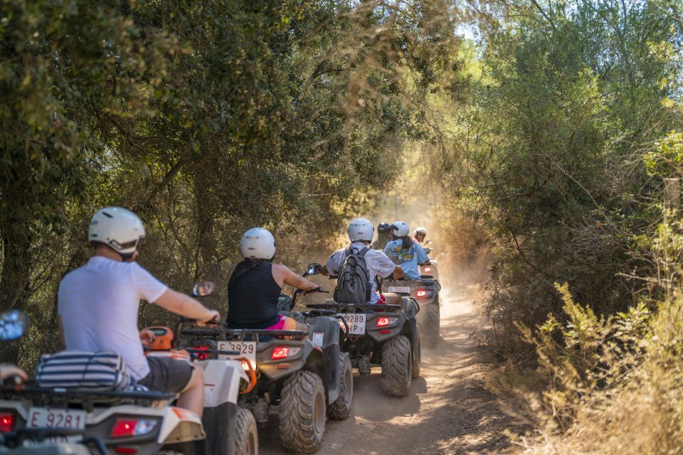 Mallorca: Quad Bike Tour With Snorkeling and Cliff Jumping - Customer Feedback