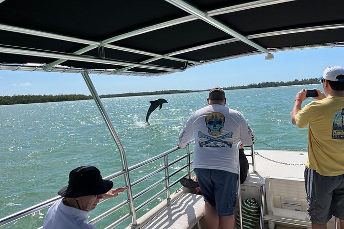 Marco Island Dolphin Sightseeing Tour - Booking Information