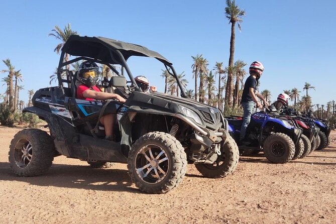 Marrakech: Buggy Tour in the Palmgroves - Scenic Experiences