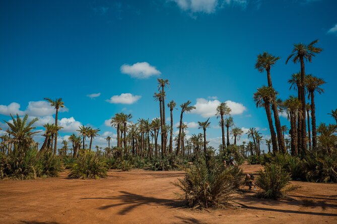 Marrakech Sunset Camel Ride in the Palm Grove - Booking Information