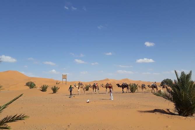 Marrakech to Merzouga Desert Overnight in Camp Camel Trip Sunset - Scenic Mountain Journey