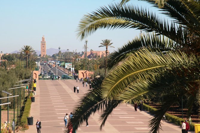 Marrakech Tour Gardens Majorelle, Menara & Anima Gardens - Private Transportation and Experience